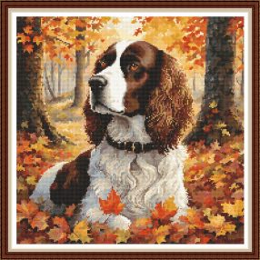 CRC - Spániel az erdőben