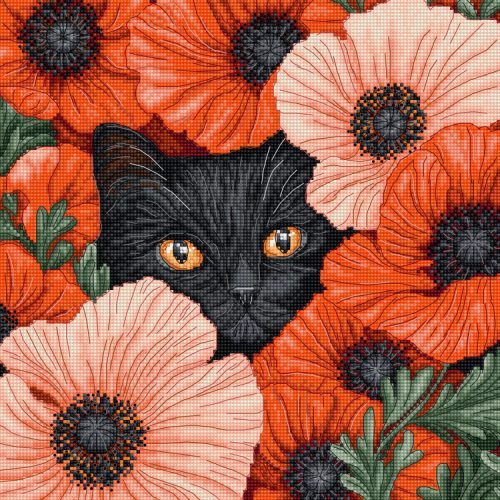 Leti 9949 Poppy Eyes 24x24 cm