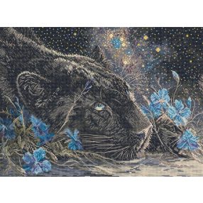 Leti 9984 Starry Dreams 37x27 cm