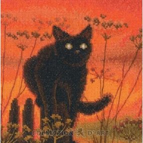 M1024 Sunset cat 15,5x15,5 cm
