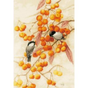 PN-0201746 Little orange feast 28x43 cm 27ct