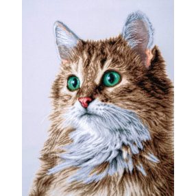 PN-0203542  The purrfect stare 58x73 cm 14ct