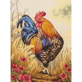 PN-0204865 Ringleader 29x40 cm