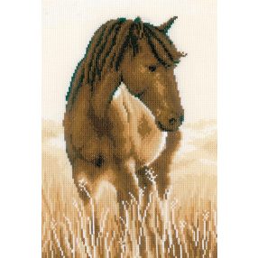 PN-0205368 Ló 20x30 cm