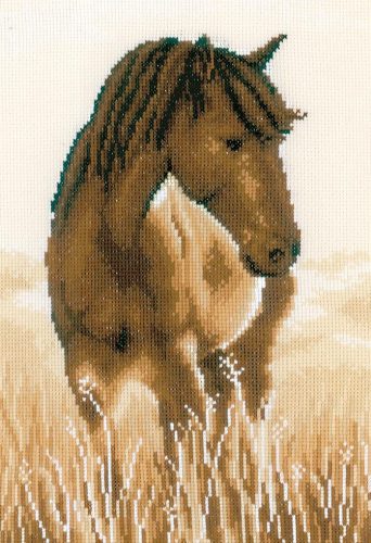 PN-0205368 Ló 20x30 cm