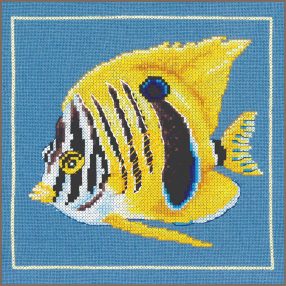 PN-0215385 Yellow zebra fish 21x20 cm