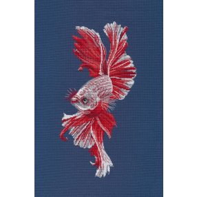 S1597 Cockerel Fish 13x27 cm