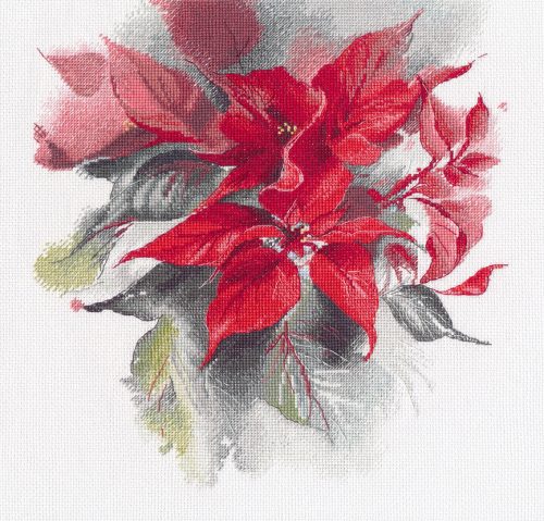 S1670 Poinsettia 25x27 cm