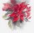 S1670 Poinsettia 25x27 cm