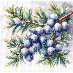 S1725 A sprig of juniper 20×20 cm