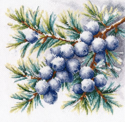 S1725 A sprig of juniper 20×20 cm