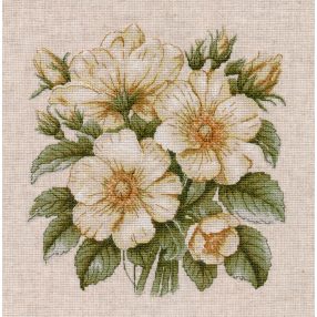 S1731 Wild rose hips 23×23 cm