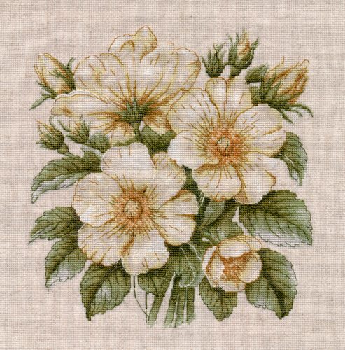 S1731 Wild rose hips 23×23 cm