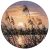 S1732 Evening silence 25×25 cm