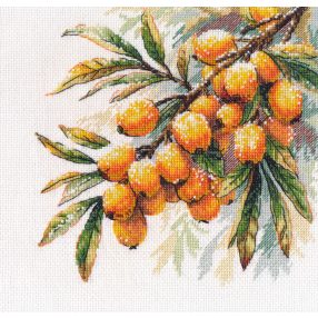 S1734 A sprig of sea buckthorn 17×17 cm