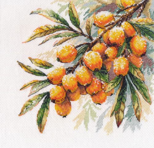 S1734 A sprig of sea buckthorn 17×17 cm