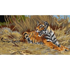 3307 Friedrich W. Kuhnert - A Tiger 40x70 cm