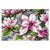 SA4267 Magnólia 50x74,5 cm