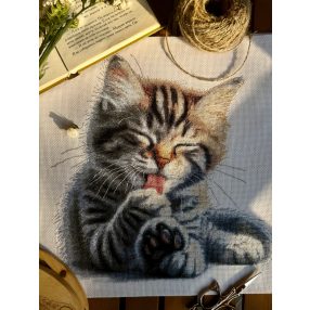 SANM-46 Soft paws 27x27,5 cm