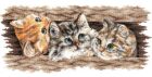 SANP-69 Fluffy trio 35x14,5 cm