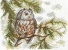 SANS-73 Little Owl 20x15 cm