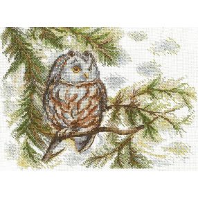 SANS-73 Little Owl 20x15 cm