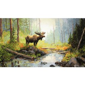 SK245 Reggel az erdőben 29x52 cm