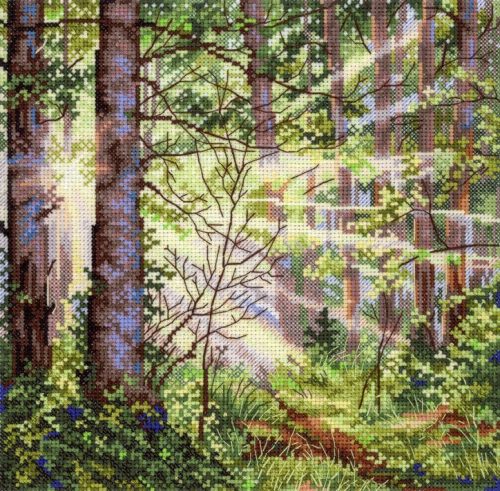 SNV1004 Napos erdő 20x20 cm