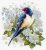 SNV922 The swallows 18x19 cm