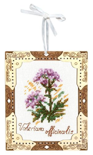 SO141 Macskagyökér 13x11 cm