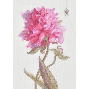 SRA1008 Peonies. Grace 21x30 cm