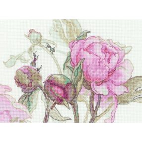 SRA1009 Peonies. Delight 18x15 cm