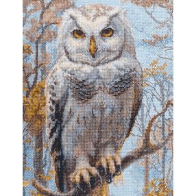 SRA1016 Wildwood Owl 30x40 cm