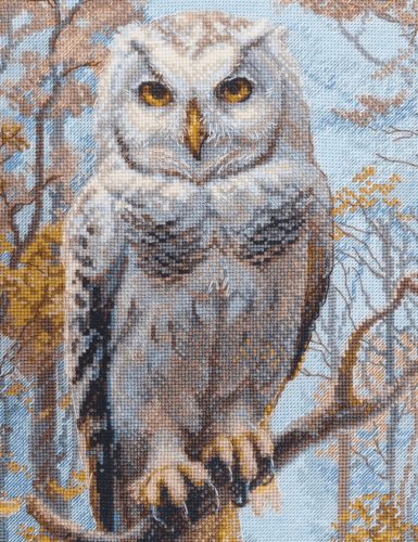 SRA1016 Wildwood Owl 30x40 cm
