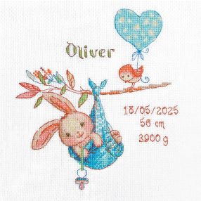 SRA1028 Boy Birth Sampler 20x20 cm