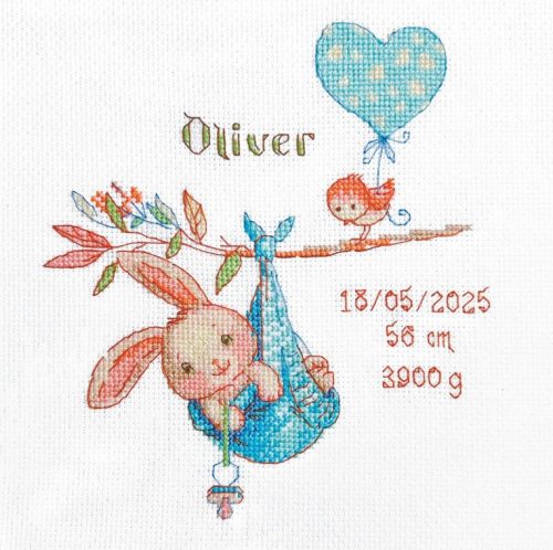 SRA1028 Boy Birth Sampler 20x20 cm