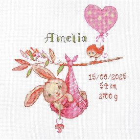 SRA1029 Girl Birth Sampler 20x20 cm