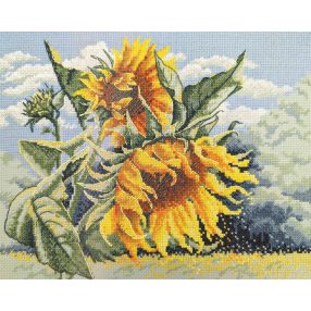 A1033 Sunflowers in the Wind 30x24 cm
