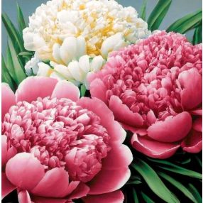 WD3075 Peony scent 30x30 cm