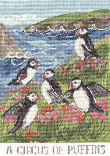 XDD09 Lizzie Spikes - A Circus Of Puffins 26x36 cm