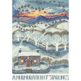 XDD11 A Murmuration Of Starlings 26x36 cm