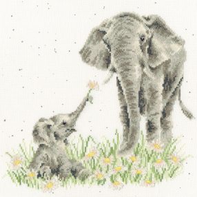 XHD155 Bloom And Grow 26x26 cm