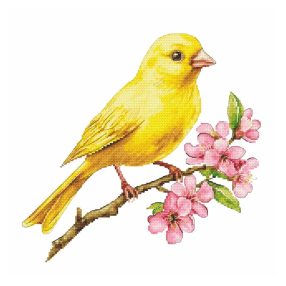 Z10961 Canary 30x30 cm
