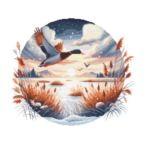 Z11171 Winter flight 40x40 cm