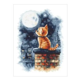Z11174 Kitten on the roof 30x40 cm