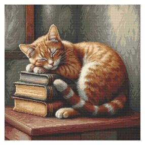 Z11179 Cat reader 40x40 cm