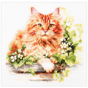ci-070-022 The Ginger Cat 26x26 cm