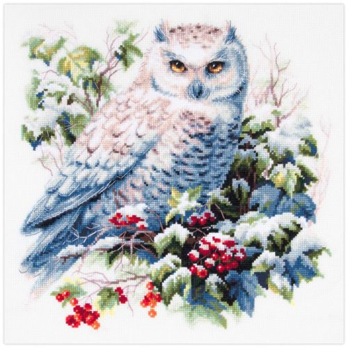 ci-070-024 Snowy Owl 26x26 cm