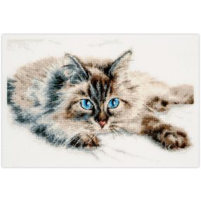 ci-260-170 Fluffy Happines 28x18 cm