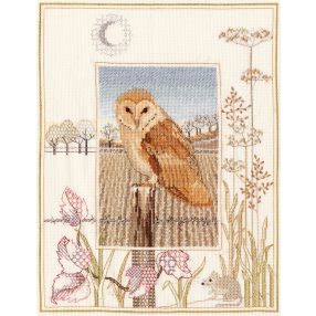 dwwil03  Barn Owl 26,9x34,2cm